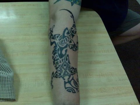 Dan - Polynesian gecko: real inked placement tattoo photo thumbnail