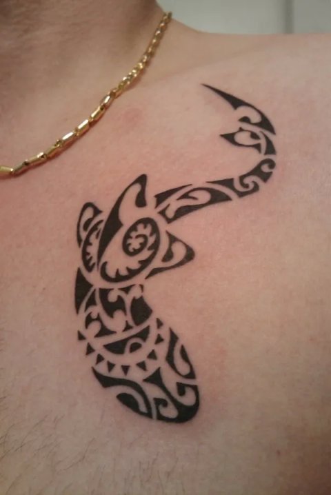 Danko - Shark: real inked placement tattoo photo thumbnail