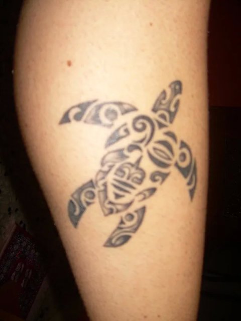 Dario - Whakakotahitanga: real inked placement tattoo photo thumbnail