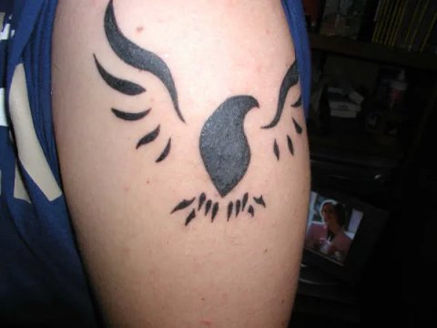 Davide - Aquila in volo: real inked placement tattoo photo thumbnail