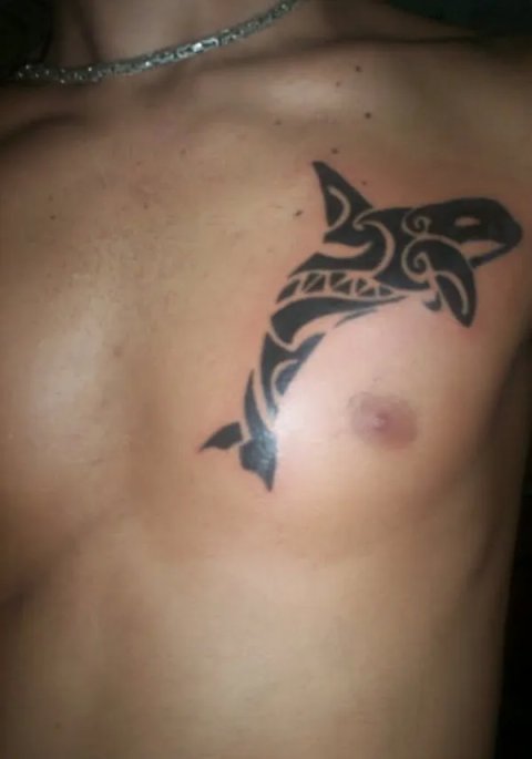 Diego - Killer whale: real inked placement tattoo photo thumbnail