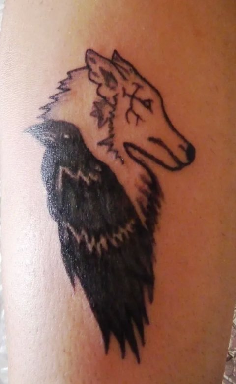 Domenica - Wolf and Crow: real inked placement tattoo photo thumbnail