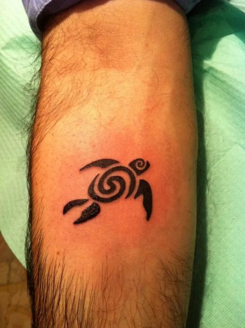 Donato - Flair turtle: real inked placement tattoo photo thumbnail