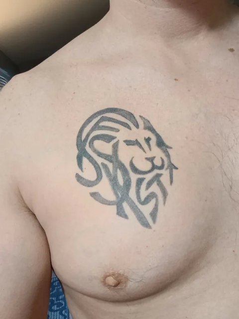 Dustin - SF+SK+ST lion: real inked placement tattoo photo thumbnail
