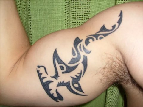 Edgard - Hammerhead shark: real inked placement tattoo photo thumbnail