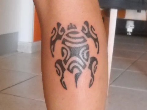 Emilio - Polynesian turtle: real inked placement tattoo photo thumbnail