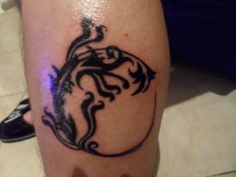 Ermelindo - Salamander: real inked placement tattoo photo thumbnail