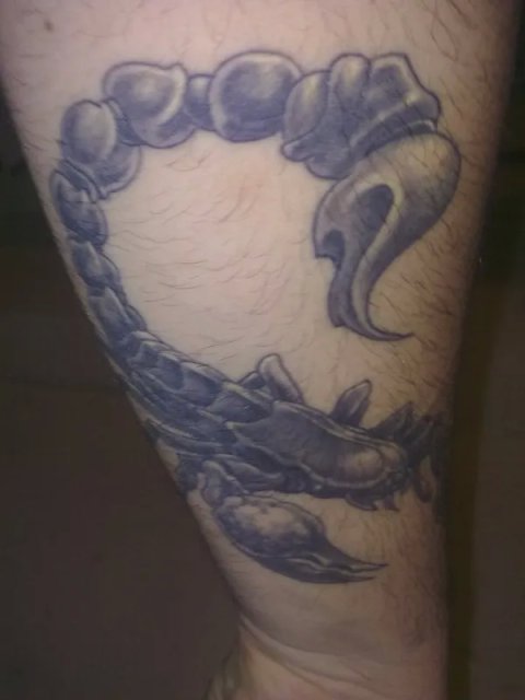 Eros - Scorpion: real inked placement tattoo photo thumbnail