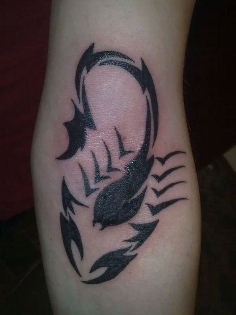Evilzone - Tribal scorpion: real inked placement tattoo photo thumbnail