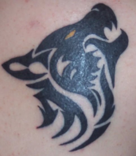 Ezra - Wolf: real inked placement tattoo photo thumbnail