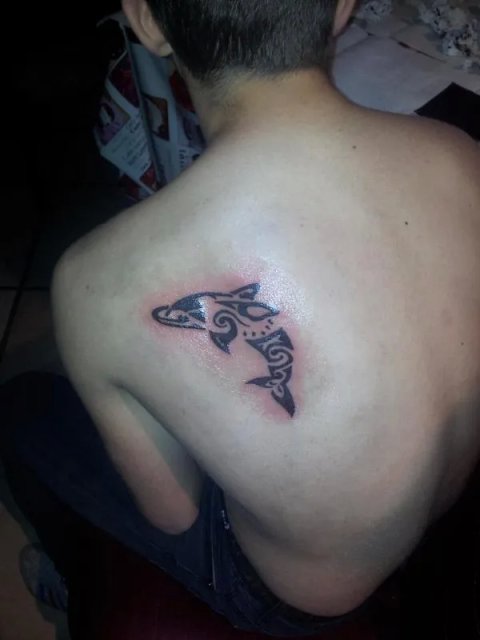 Fastlife - dolphin: real inked placement tattoo photo thumbnail