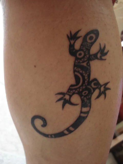 Giacomo - Lizard: real inked placement tattoo photo thumbnail