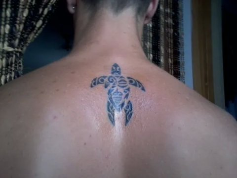 Gianluca - Whakakotahitanga: real inked placement tattoo photo thumbnail