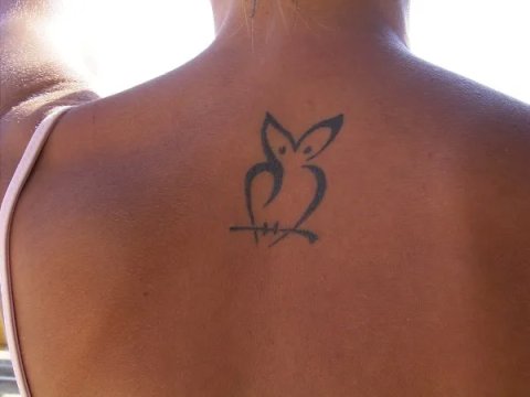 Giuliana - Stylized owl: real inked placement tattoo photo thumbnail