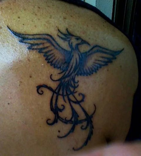 Giuseppe - phoenix: real inked placement tattoo photo thumbnail