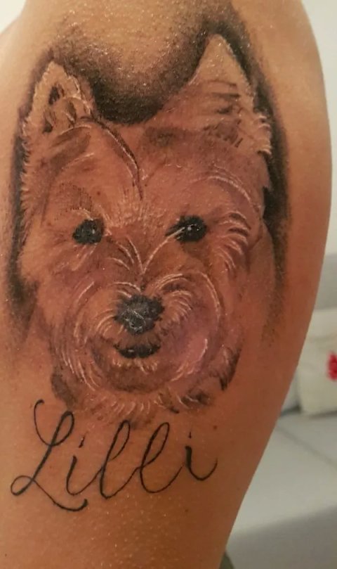 Guest - Lilli: real inked placement tattoo photo thumbnail