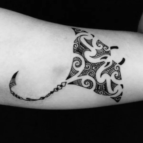 Guest - Maori manta: real inked placement tattoo photo thumbnail