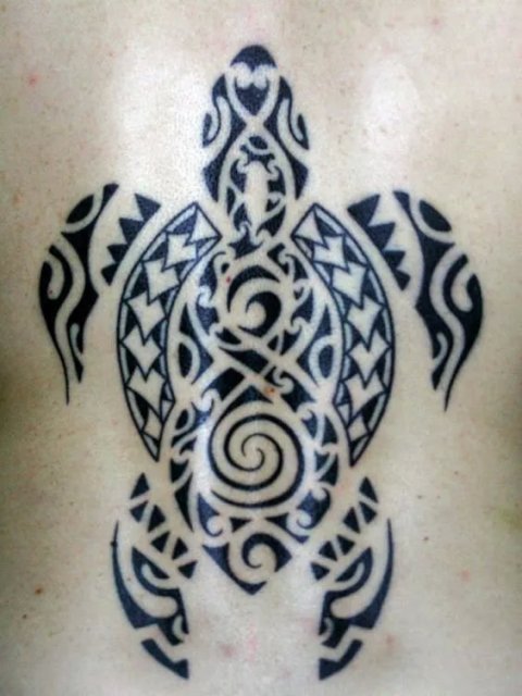 Guest - hui turtle: real inked placement tattoo photo thumbnail
