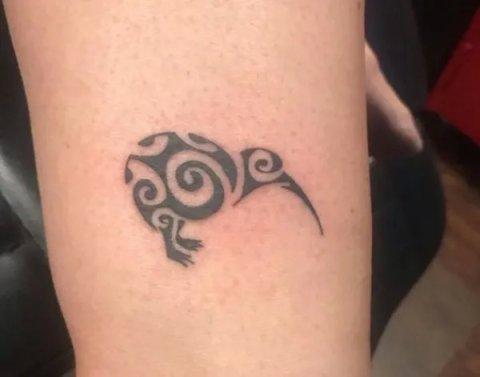 Guest - kiwi bird: real inked placement tattoo photo thumbnail