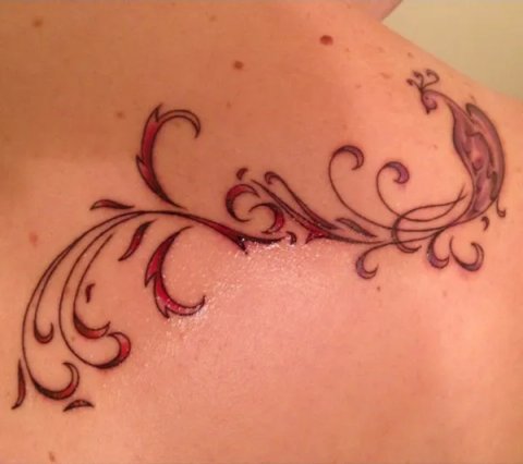 Guest - rebirth phoenix: real inked placement tattoo photo thumbnail