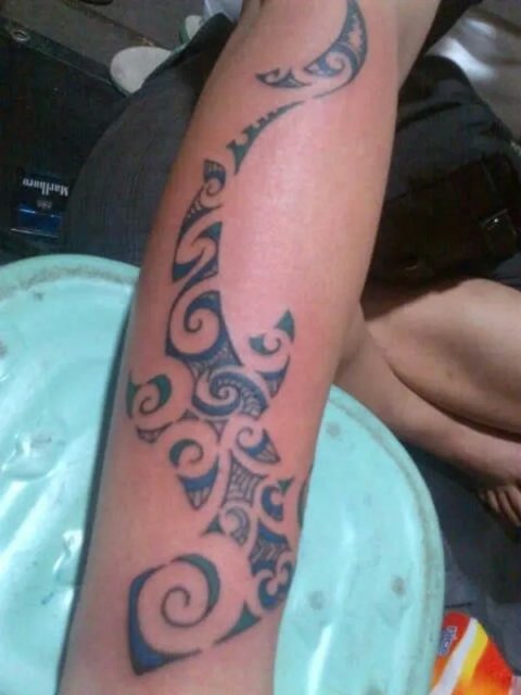 Iann - Maori hammerhead shark: real inked placement tattoo photo thumbnail