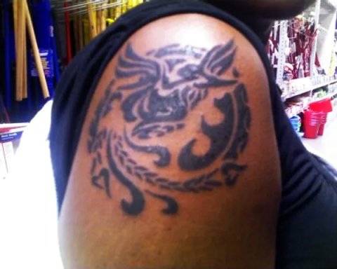 Ilaine - Sun phoenix: real inked placement tattoo photo thumbnail