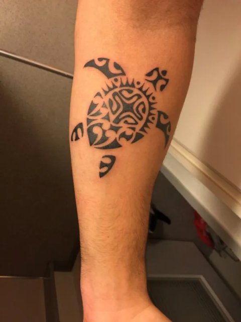 Ivo - VIVO turtle: real inked placement tattoo photo thumbnail