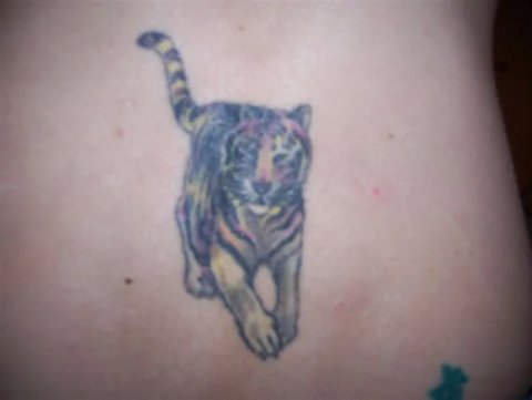 Jenna - tiger: real inked placement tattoo photo thumbnail