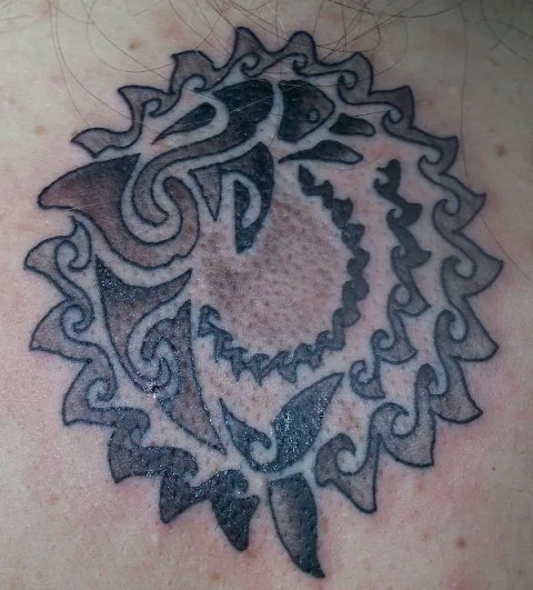Jennifer - Sun dolphin: real inked placement tattoo photo thumbnail