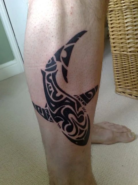 John - Maori shark: real inked placement tattoo photo thumbnail