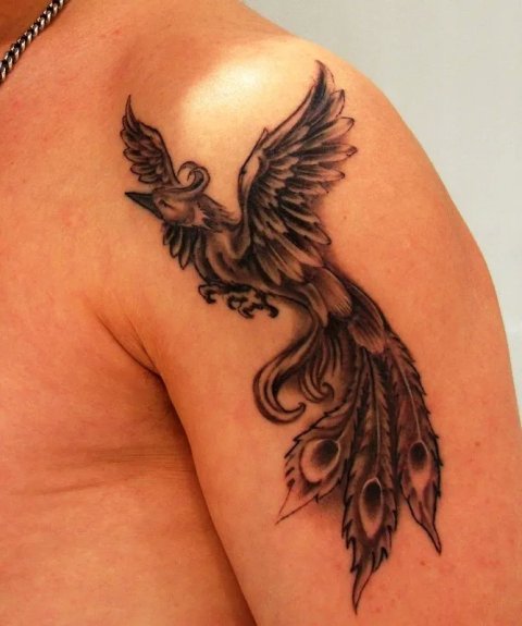 José - Phoenix: real inked placement tattoo photo thumbnail