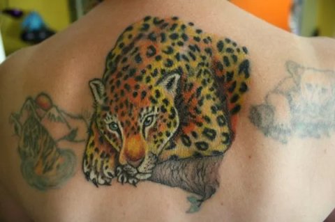 Jude - Leopard: real inked placement tattoo photo thumbnail