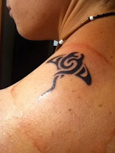 Juli - small manta: real inked placement tattoo photo thumbnail