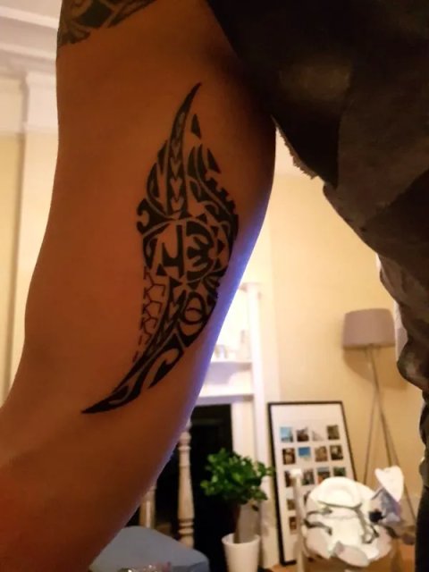 Ladislav - Fern leaf: real inked placement tattoo photo thumbnail