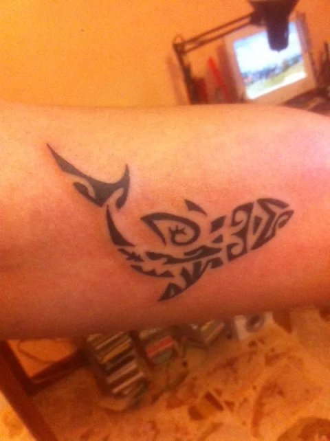 Lorenzo - Shark: real inked placement tattoo photo thumbnail
