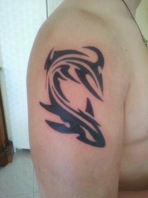 Lory - Shark: real inked placement tattoo photo thumbnail
