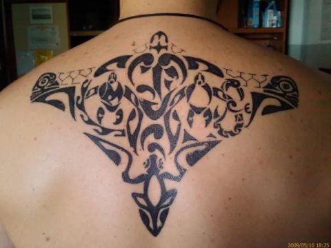 Luciano - Tamariki: real inked placement tattoo photo thumbnail
