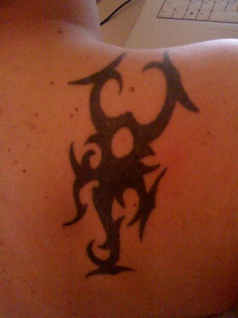 Maico - Borneo scorpion: real inked placement tattoo photo thumbnail