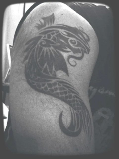 Manoj - Tribal Koi: real inked placement tattoo photo thumbnail