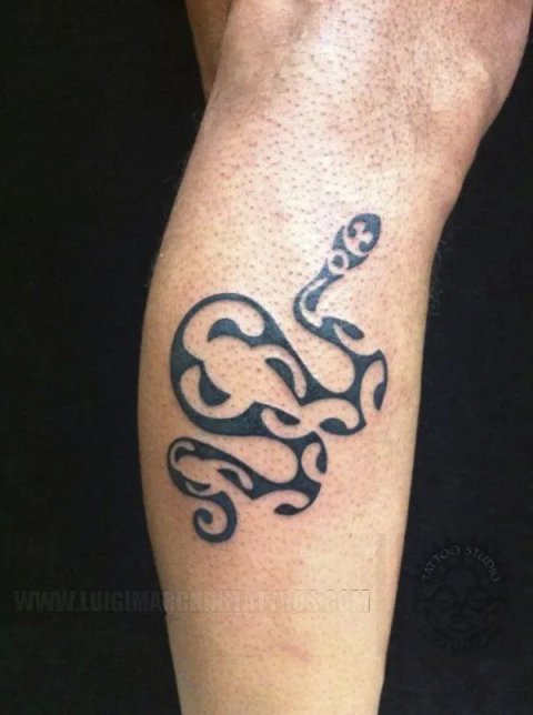 Marchini - Snake: real inked placement tattoo photo thumbnail