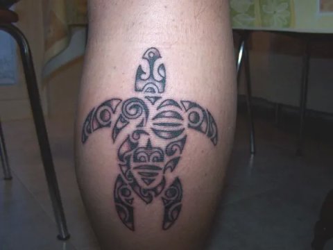 Marco - Whakakotahitanga: real inked placement tattoo photo thumbnail
