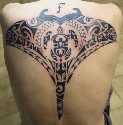 Marco - back manta: real inked placement tattoo photo thumbnail