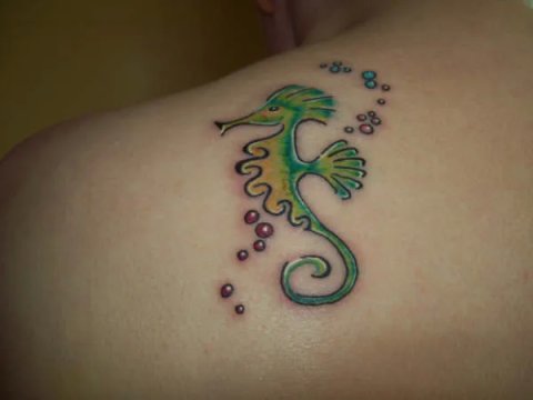 Marie - Seahorse: real inked placement tattoo photo thumbnail