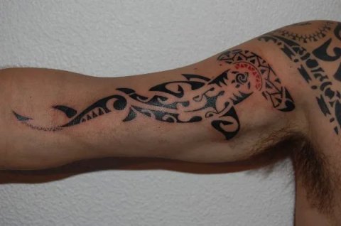Mario - Mangopare: real inked placement tattoo photo thumbnail