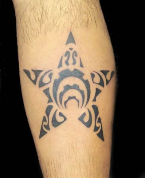 Mark - Turtle star: real inked placement tattoo photo thumbnail