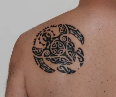 Martin - Manta turtle: real inked placement tattoo photo thumbnail