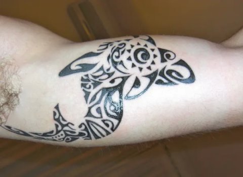 Matteo - Shark: real inked placement tattoo photo thumbnail