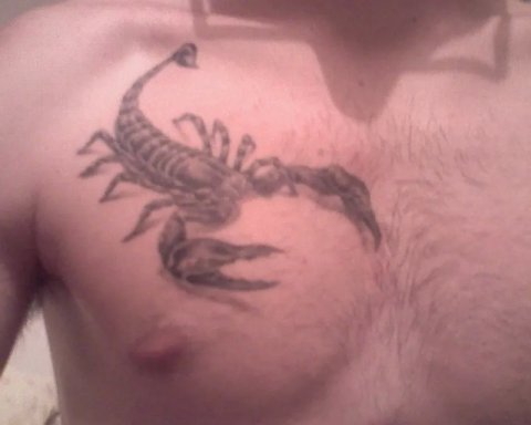 Michele - Scorpione: real inked placement tattoo photo thumbnail