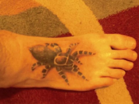 Michele - Tarantola: real inked placement tattoo photo thumbnail