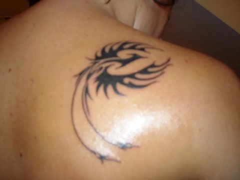 Michy - Fenice: real inked placement tattoo photo thumbnail